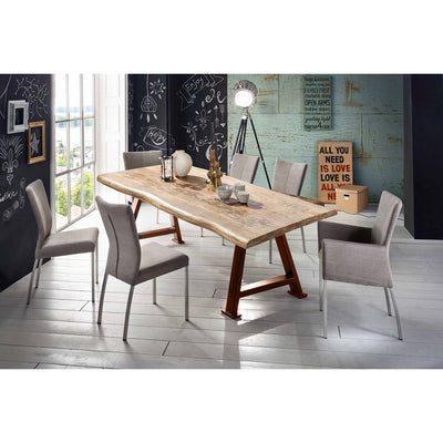 Tischplatte 200x100 cm