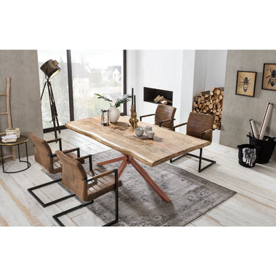 Tischplatte 200x100 cm