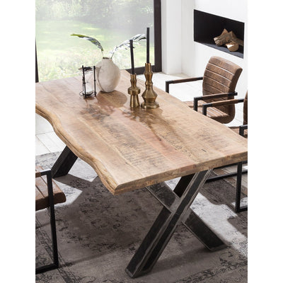 Tischplatte 160x90 cm